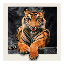 Load image into Gallery viewer, Diamond Painting - Full Round - 3D tiger (30*30CM)