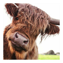 Load image into Gallery viewer, Diamond Painting - Full Round - yak (30*30CM)