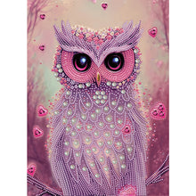 Load image into Gallery viewer, Diamond Painting - Partial Special Shaped - personality owl (30*40CM)