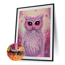 Load image into Gallery viewer, Diamond Painting - Partial Special Shaped - personality owl (30*40CM)