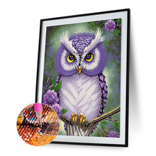 Load image into Gallery viewer, Diamond Painting - Partial Special Shaped - personality owl (30*40CM)