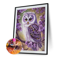 Load image into Gallery viewer, Diamond Painting - Partial Special Shaped - personality owl (30*40CM)