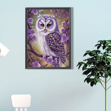 Load image into Gallery viewer, Diamond Painting - Partial Special Shaped - personality owl (30*40CM)