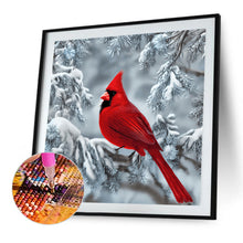 Load image into Gallery viewer, Diamond Painting - Full Round - Cardinal (30*30CM)
