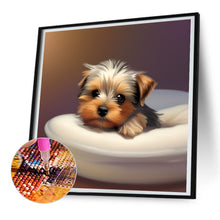 Load image into Gallery viewer, Diamond Painting - Full Round - yorkshire terrier (30*30CM)