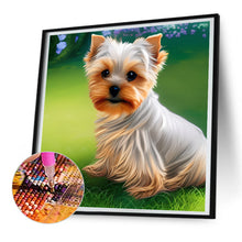 Load image into Gallery viewer, Diamond Painting - Full Round - yorkshire terrier (30*30CM)