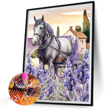 Load image into Gallery viewer, Diamond Painting - Full Round - Lavender (30*40CM)