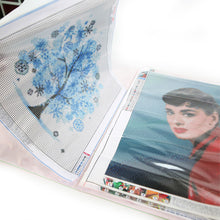 Load image into Gallery viewer, Diamond Painting Storage Book A4 A3 PP Album Picture Holder for Diamond Painting