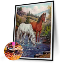 Load image into Gallery viewer, Diamond Painting - Full Round - horse (30*40CM)