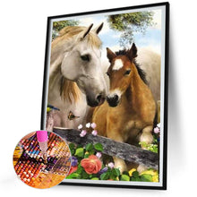 Load image into Gallery viewer, Diamond Painting - Full Round - horse (30*40CM)