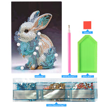 Load image into Gallery viewer, 5D Diamond Mosaic Notebook 50 Pages DIY Art Craft A5 Journal Hand Chinese Zodiac