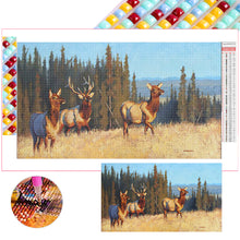 Load image into Gallery viewer, Diamond Painting - Full Square - field cattle and sheep (70*40CM)