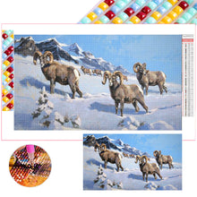 Load image into Gallery viewer, Diamond Painting - Full Square - field cattle and sheep (70*40CM)
