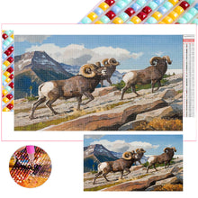 Load image into Gallery viewer, Diamond Painting - Full Square - field cattle and sheep (70*40CM)