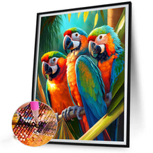 Load image into Gallery viewer, AB Diamond Painting - Full Round - three parrots (40*50CM)