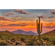 Load image into Gallery viewer, Diamond Painting - Full Round - Sunset over Sonoran Desert cactus near Phoenix, Arizona (45*30CM)

