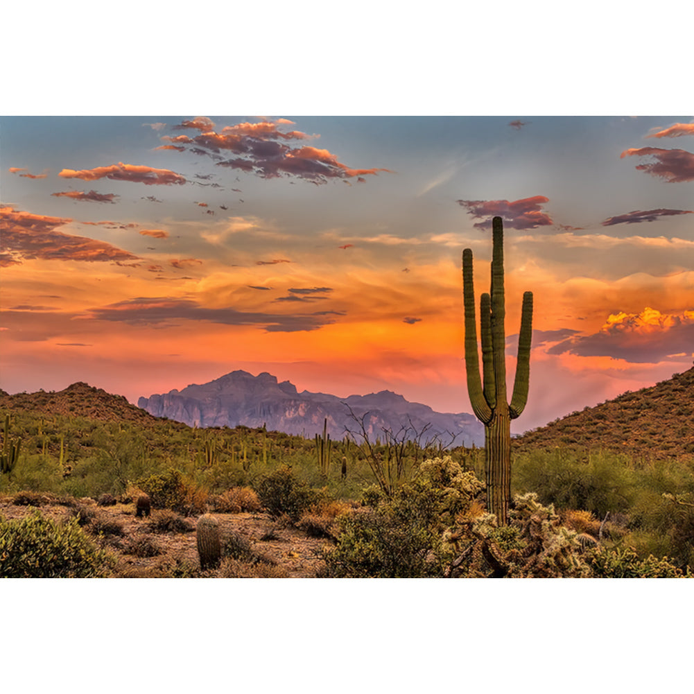 Diamond Painting - Full Round - Sunset over Sonoran Desert cactus near Phoenix, Arizona (45*30CM)