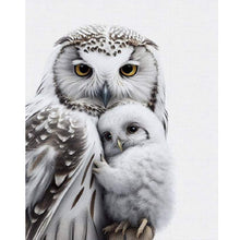 Load image into Gallery viewer, Diamond Painting - Full Round - owl (40*50CM)
