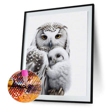 Load image into Gallery viewer, Diamond Painting - Full Round - owl (40*50CM)

