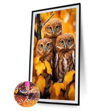 Load image into Gallery viewer, Diamond Painting - Full Round - three owls (40*60CM)
