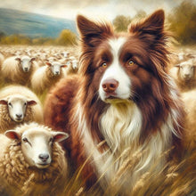 Load image into Gallery viewer, Diamond Painting - Full Round - collie dog (30*30CM)
