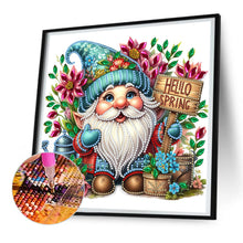 Load image into Gallery viewer, Diamond Painting - Partial Special Shaped - Spring flower gnome (30*30CM)
