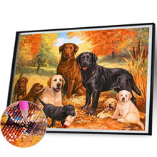 Load image into Gallery viewer, Diamond Painting - Full Square - dog (50*40CM)
