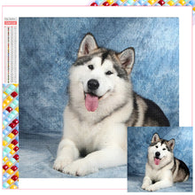 Load image into Gallery viewer, Diamond Painting - Full Square - Erha (50*50CM)
