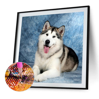 Diamond Painting - Full Square - Erha (50*50CM)