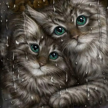 Load image into Gallery viewer, Diamond Painting - Full Round - Snuggle Kitty (30*30CM)
