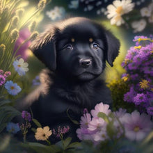 Load image into Gallery viewer, Diamond Painting - Full Round - Flower black puppy (30*30CM)
