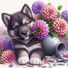 Load image into Gallery viewer, Diamond Painting - Full Square - Dog-Alaskan Malamute (30*30CM)
