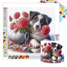 Load image into Gallery viewer, Diamond Painting - Full Square - Dog-border collie (30*30CM)
