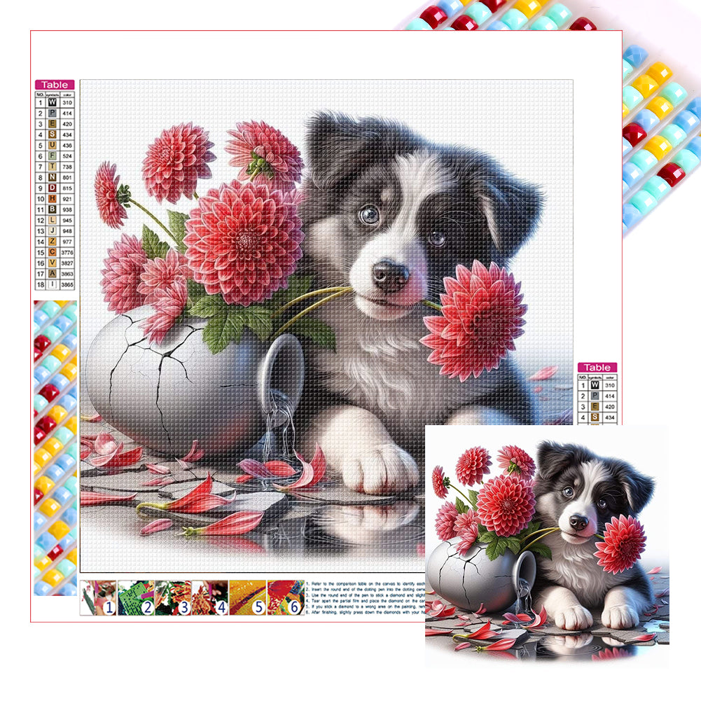 Diamond Painting - Full Square - Dog-border collie (30*30CM)