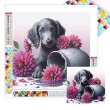 Load image into Gallery viewer, Diamond Painting - Full Square - Dog - Dachshund (30*30CM)
