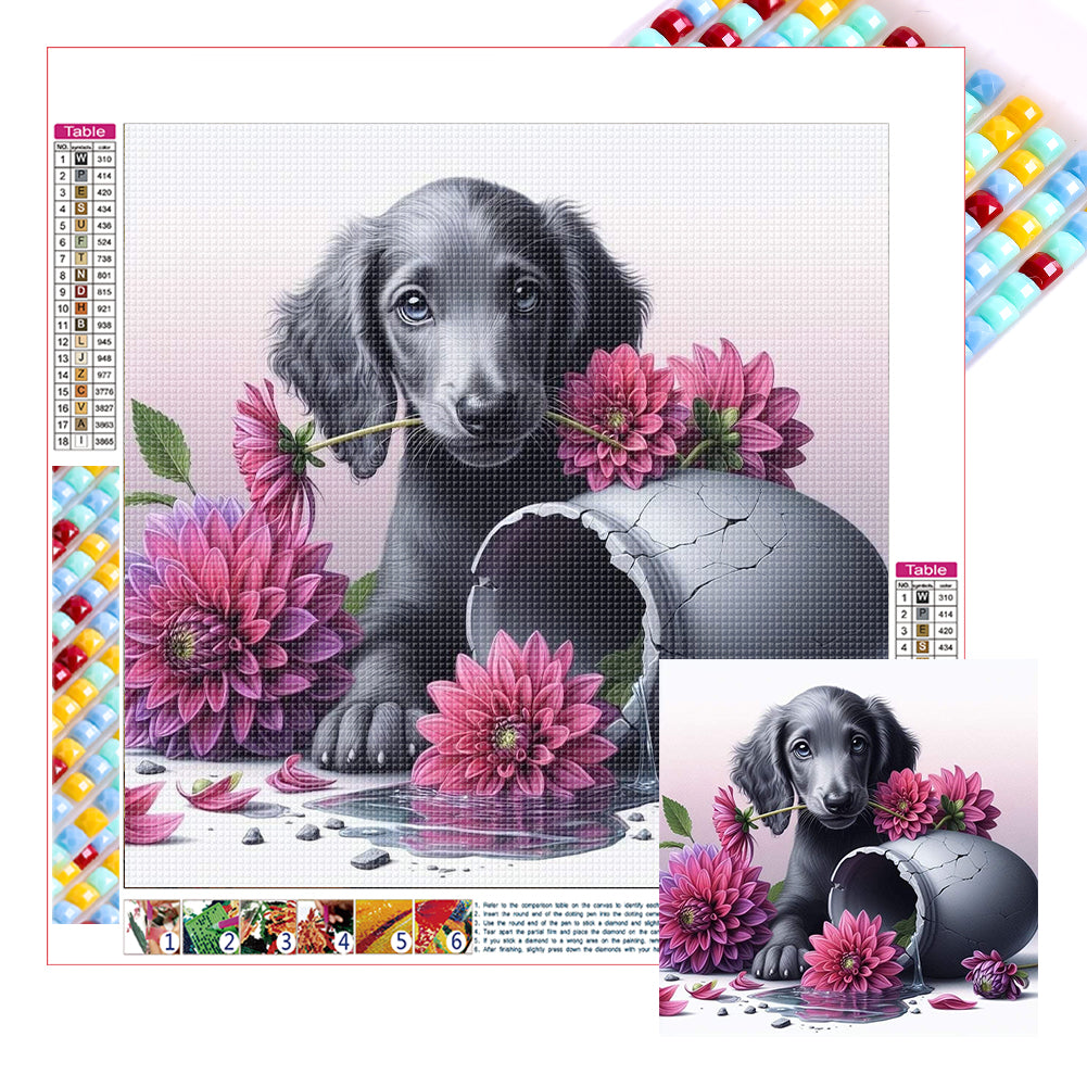 Diamond Painting - Full Square - Dog - Dachshund (30*30CM)