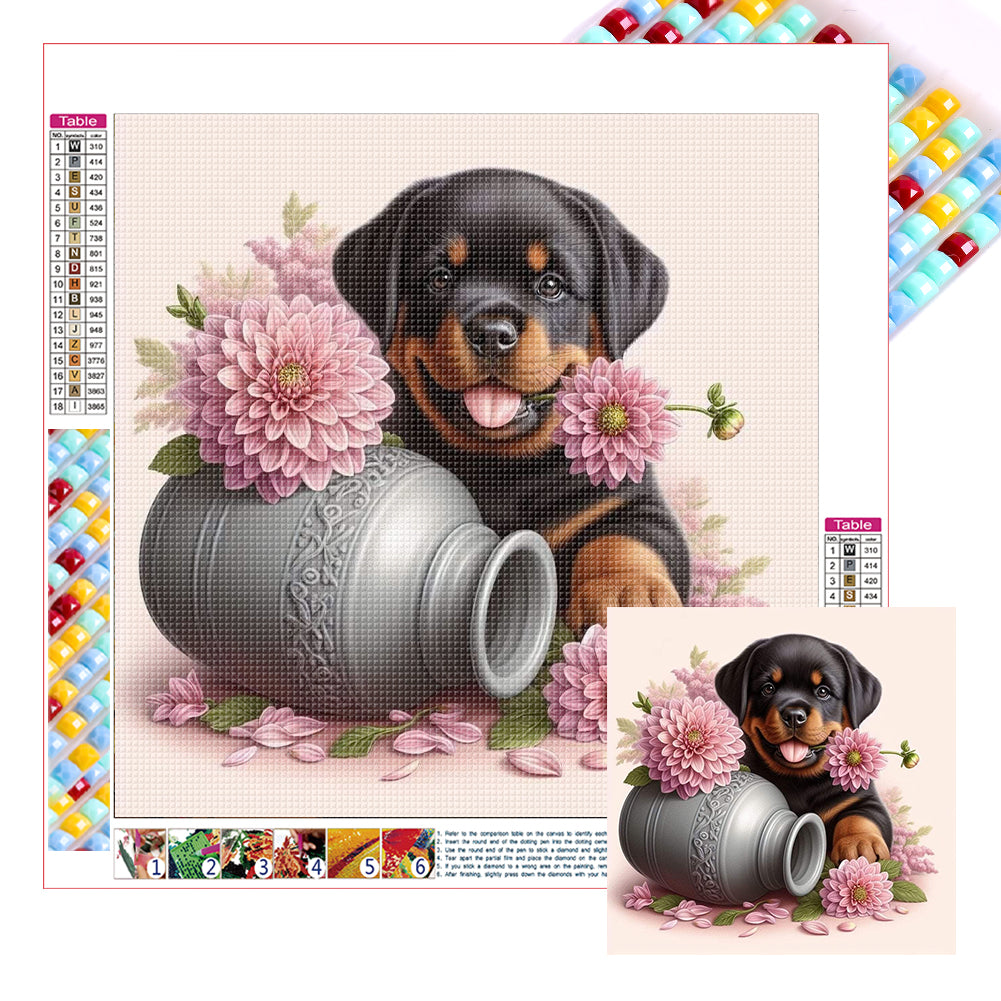 Diamond Painting - Full Square - Dog-Rottweiler (30*30CM)