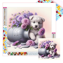 Load image into Gallery viewer, Diamond Painting - Full Square - Dog-American Eskimo Dog (30*30CM)
