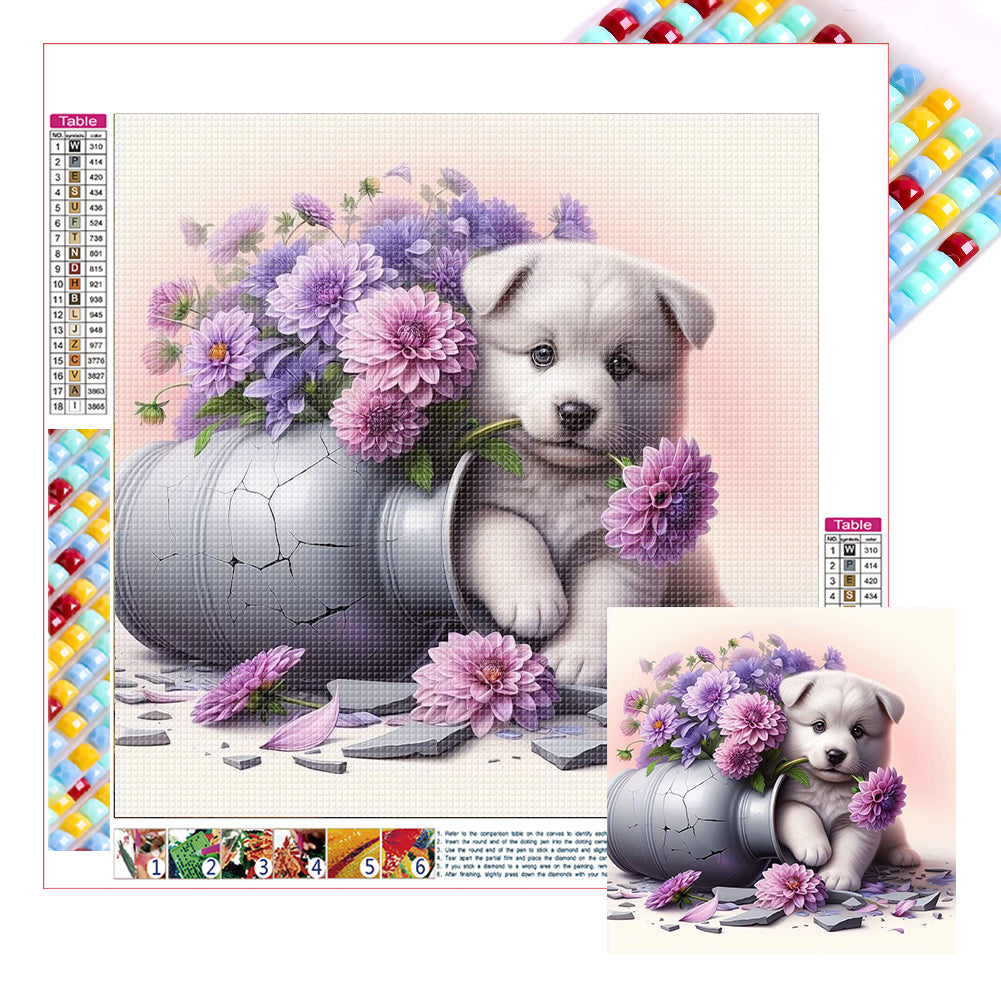 Diamond Painting - Full Square - Dog-American Eskimo Dog (30*30CM)
