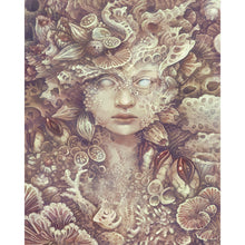Load image into Gallery viewer, Diamond Painting - Full Round - shell girl (40*50CM)
