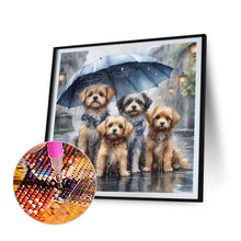 Load image into Gallery viewer, Diamond Painting - Full Round - Cute puppy in the rain (40*40CM)
