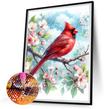 Load image into Gallery viewer, Diamond Painting - Full Round - Cardinal on blue sky (30*40CM)
