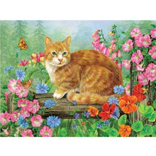 Load image into Gallery viewer, Diamond Painting - Full Square - cat cat (45*60CM)
