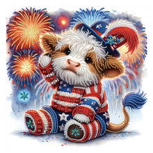 Load image into Gallery viewer, Diamond Painting - Partial Special Shaped - Independence day fireworks (40*40CM)
