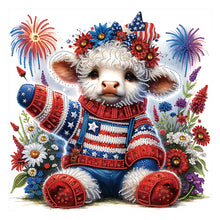 Load image into Gallery viewer, Diamond Painting - Partial Special Shaped - Independence day fireworks (40*40CM)
