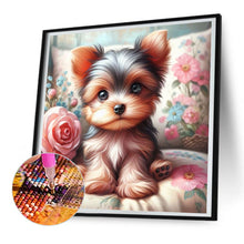 Load image into Gallery viewer, Diamond Painting - Full Round - Puppy Yorkshire Terrier (30*30CM)
