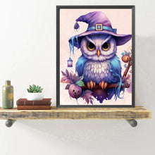 Load image into Gallery viewer, Diamond Painting - Full Round - owl wearing hat (40*50CM)
