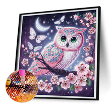 Load image into Gallery viewer, Diamond Painting - Partial Special Shaped - Owl on a branch under the moon (30*30CM)
