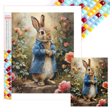 Load image into Gallery viewer, Diamond Painting - Full Square - peter rabbit (30*40CM)
