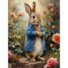 Load image into Gallery viewer, Diamond Painting - Full Square - peter rabbit (30*40CM)
